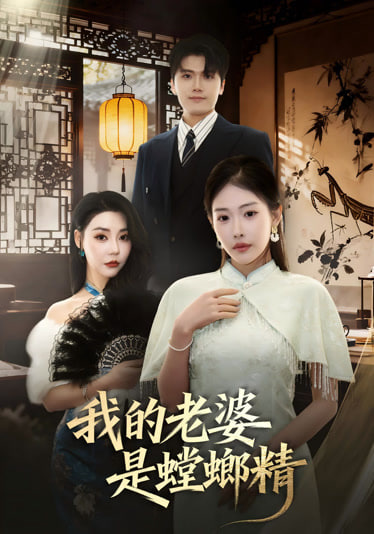 我的阿勒泰